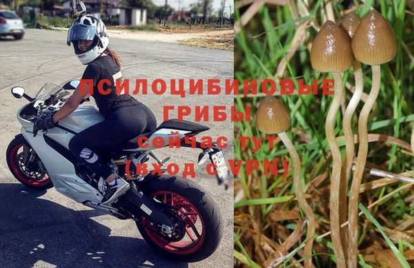 прущий лед Тихвин