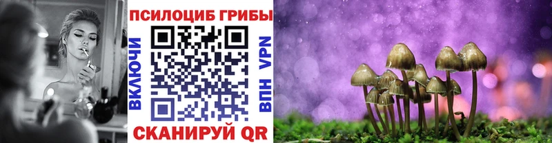 Псилоцибиновые грибы мицелий  Александровск 